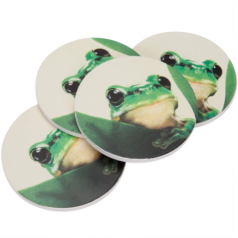 Frog Stone Coaster