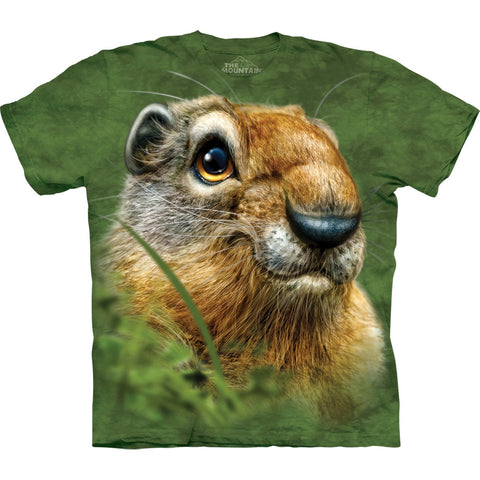 Ground Squirrel Close-Up Kids T-Shirt