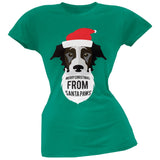 Black Dog Santa Juniors T-Shirt