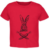 Easter - Jolly Rogers Rabbit Light Blue Toddler T-Shirt