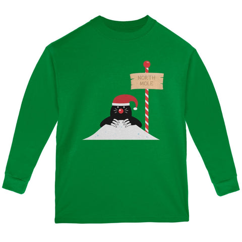 Christmas The North Mole Pole Green Youth Long Sleeve T-Shirt