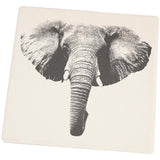 Elephant Head Square Sandstone Coaster