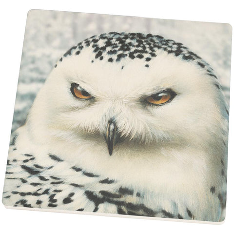 Snowy Owl of Winter Set of 4 Square Sandstone Coasters