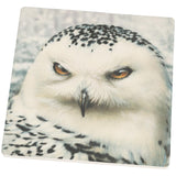 Snowy Owl of Winter Square Sandstone Coaster