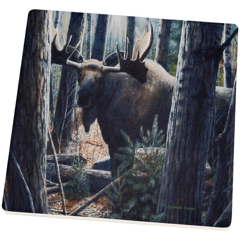 Moose King of the Northwoods Set of 4 Square Sandstone Coasters