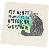 My Heart Belongs American Shorthair Cat Square Sandstone Coaster
