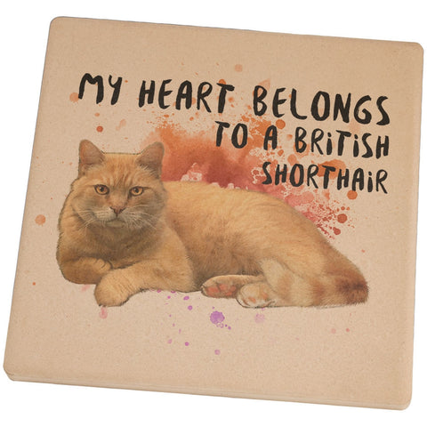 My Heart Belongs British Shorthair Cat Set of 4 Square Sandstone Coasters