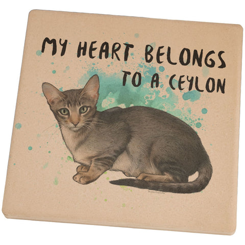 My Heart Belongs Ceylon Cat Set of 4 Square Sandstone Coasters