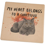 My Heart Belongs Chartreux Cat Set of 4 Square Sandstone Coasters