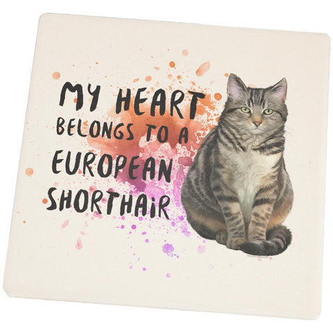 My Heart Belongs European Shorthair Cat Square Sandstone Coaster