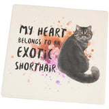 My Heart Belongs Exotic Shorthair Cat Set of 4 Square Sandstone Coasters