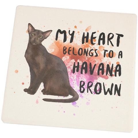 My Heart Belongs Havana Brown Cat Set of 4 Square Sandstone Coasters