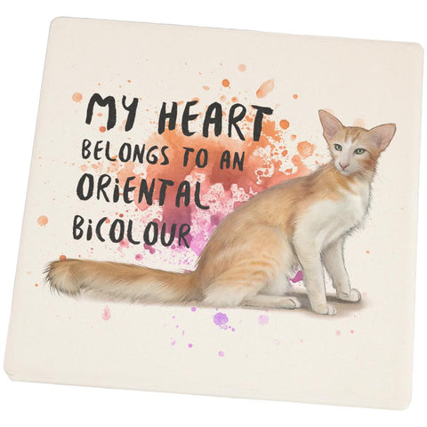 My Heart Belongs Oriental Bicolour Cat Square Sandstone Coaster