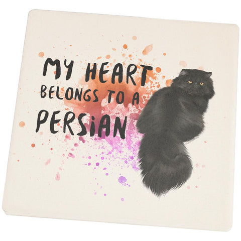 My Heart Belongs Persian Cat Set of 4 Square Sandstone Coasters
