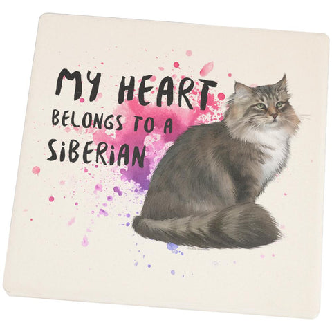My Heart Belongs Siberian Cat Set of 4 Square Sandstone Coasters